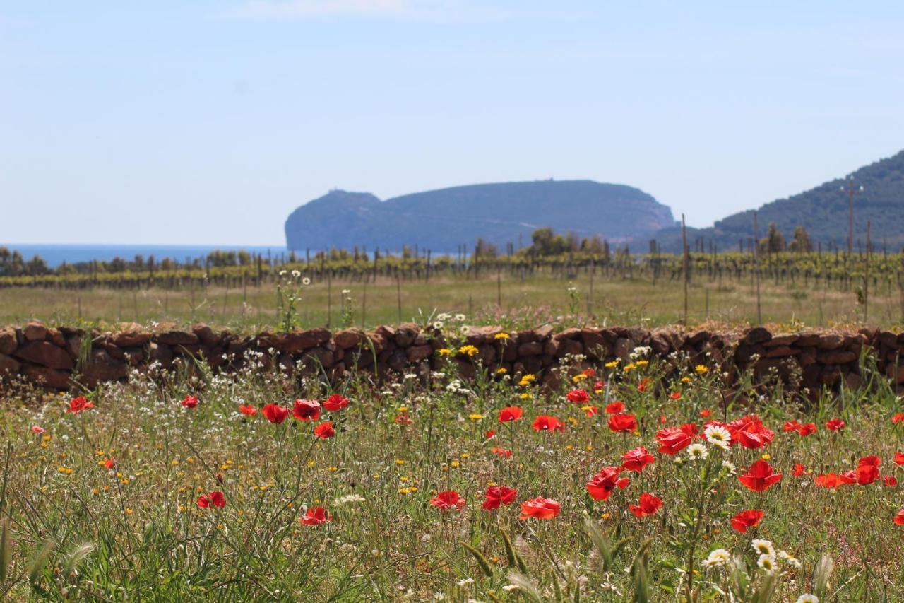 Agriturismo Graziano E Barbara ปอร์โต คอนเต ภายนอก รูปภาพ