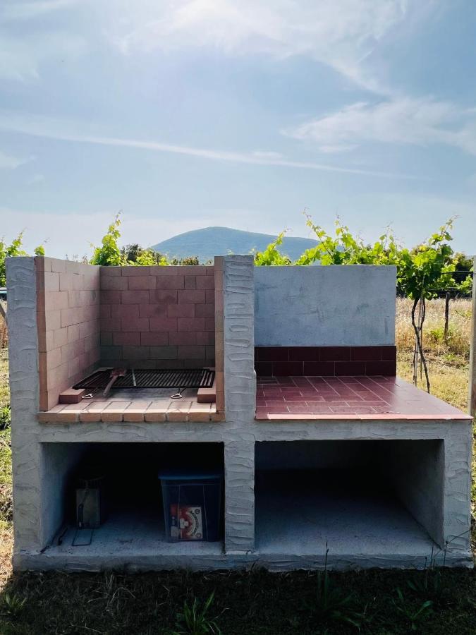 Agriturismo Graziano E Barbara ปอร์โต คอนเต ภายนอก รูปภาพ