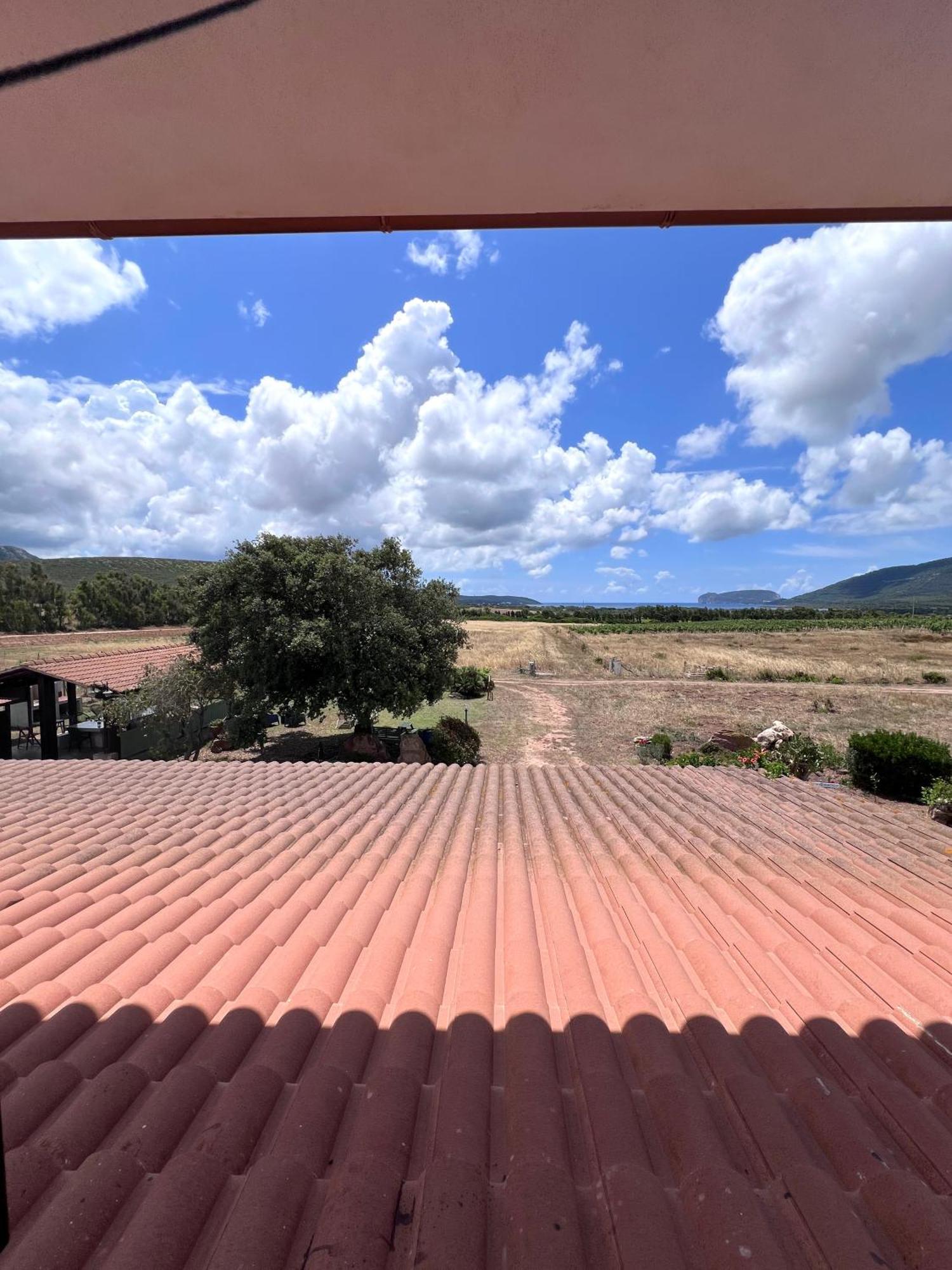 Agriturismo Graziano E Barbara ปอร์โต คอนเต ภายนอก รูปภาพ