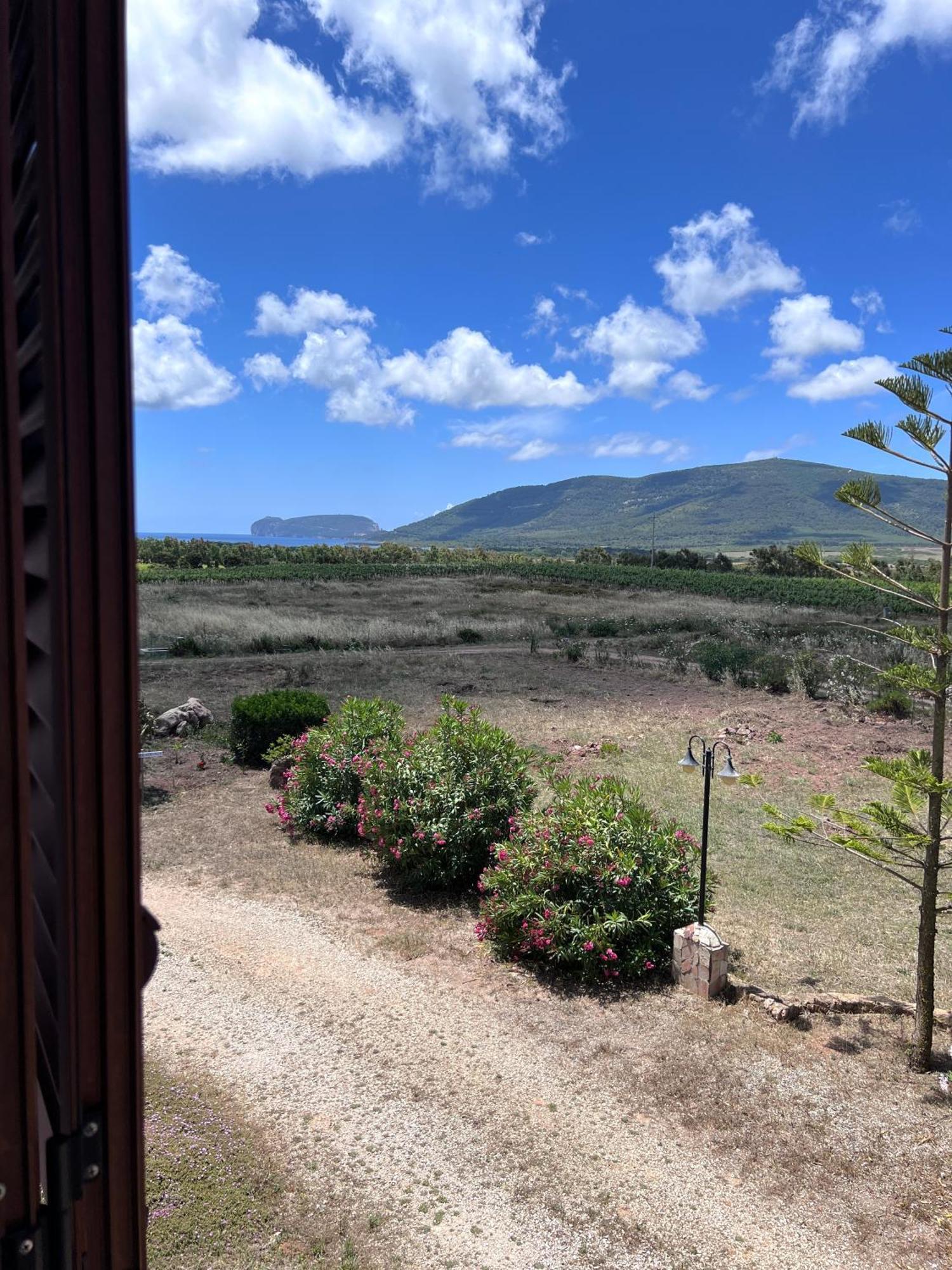 Agriturismo Graziano E Barbara ปอร์โต คอนเต ภายนอก รูปภาพ